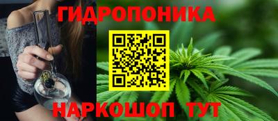 стаф Кунгур